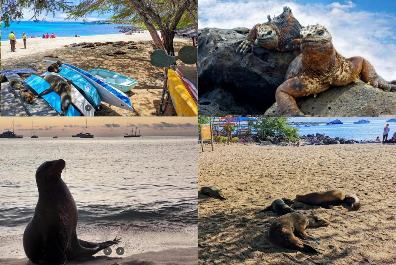 Blue Horizon - Galapagos Home Puerto Baquerizo Moreno Εξωτερικό φωτογραφία
